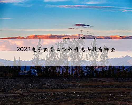 2022电子商务上市公司龙头股有哪些