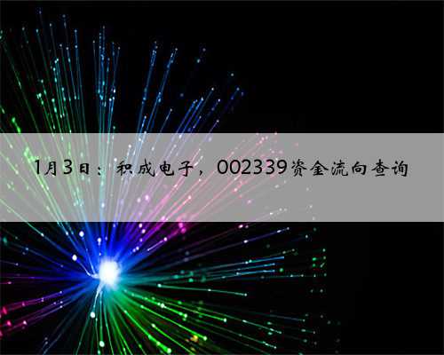 1月3日:积成电子,002339资金流向查询