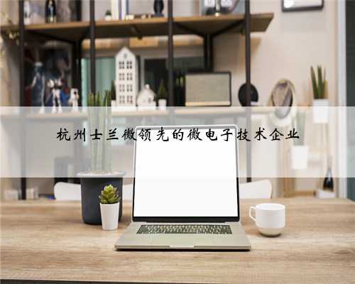 杭州士兰微领先的微电子技术企业