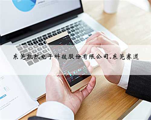 东莞凯凯电子科技股份有限公司,东莞赛道