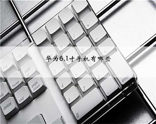 华为6.1寸手机有哪些