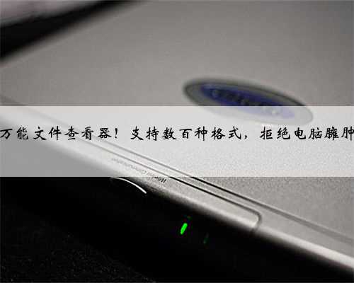 万能文件查看器！支持数百种格式，拒绝电脑臃肿